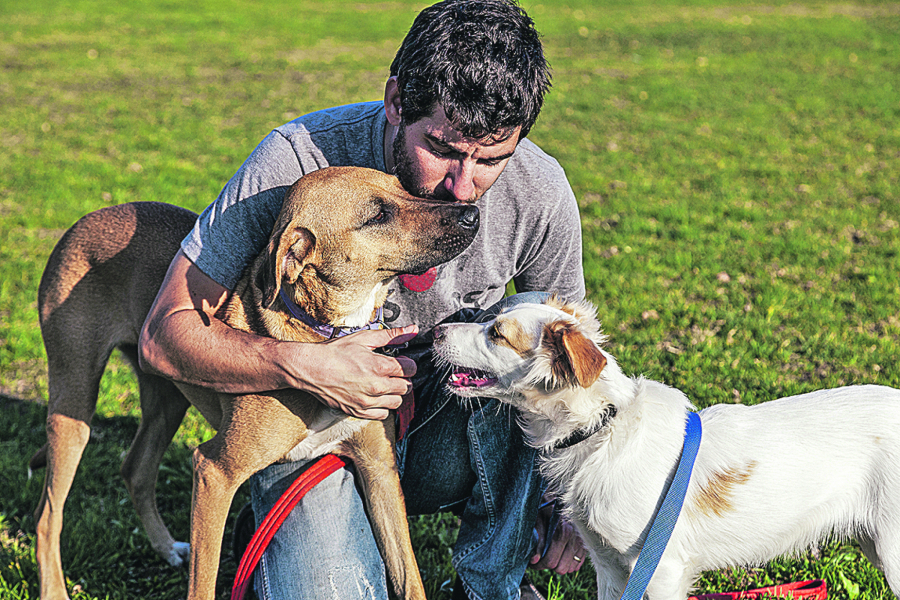 ČESTA ZABLUDA Ljudi su skloni da pseće znake tumače potpuno pogrešno REŽANJE JE OK