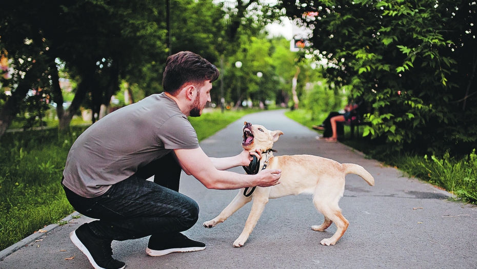 ČESTA ZABLUDA Ljudi su skloni da pseće znake tumače potpuno pogrešno REŽANJE JE OK
