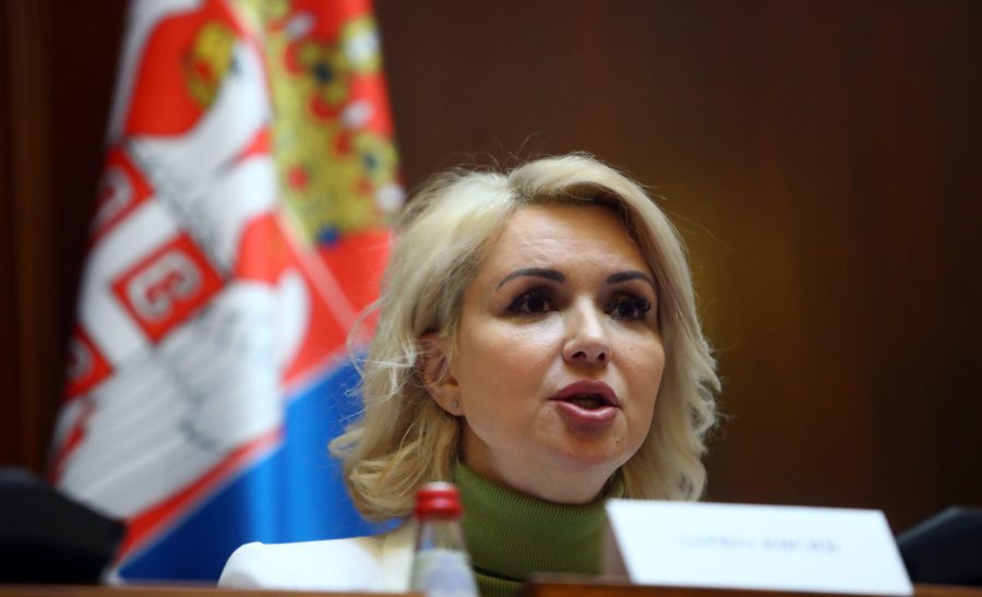 MAMA KAO STUB I OSLONAC PORODICE Velika konferencija u Domu Narodne skupštine (VIDEO)