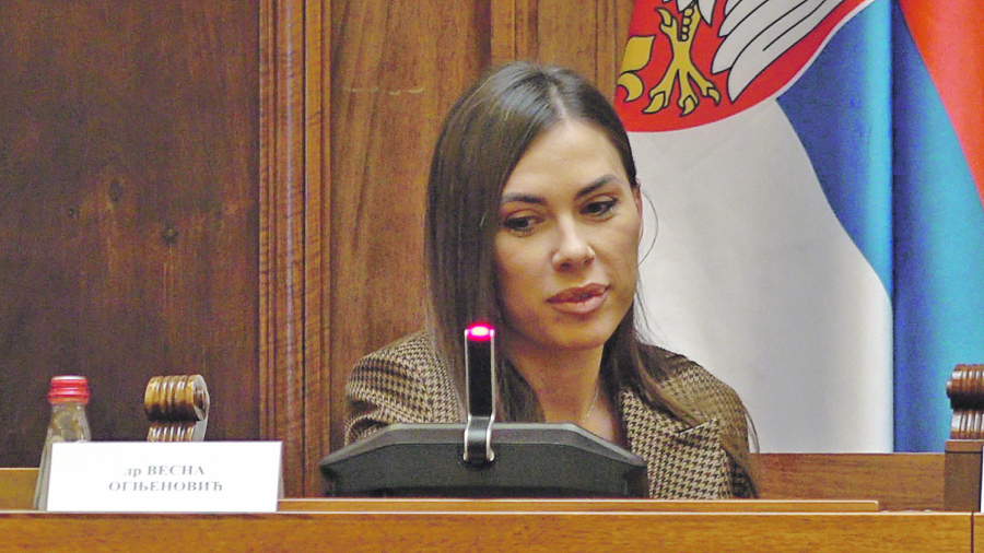 Srbija je uz majke! SVETLA BUDUĆNOST ZA LEPŠI I JAČI POL Asocijacija mama Srbije održala prvu konferenciju