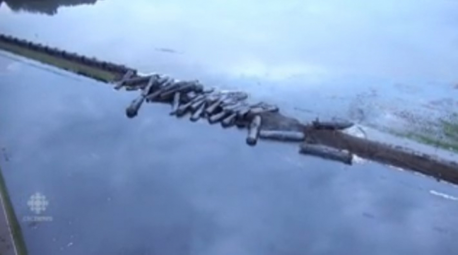 SAD, SLOVENIJA, HRVATSKA, NEMAČKA... Ovo su neke od najvećih nesreća gde je došlo do curenja štetnih materija (FOTO/VIDEO)