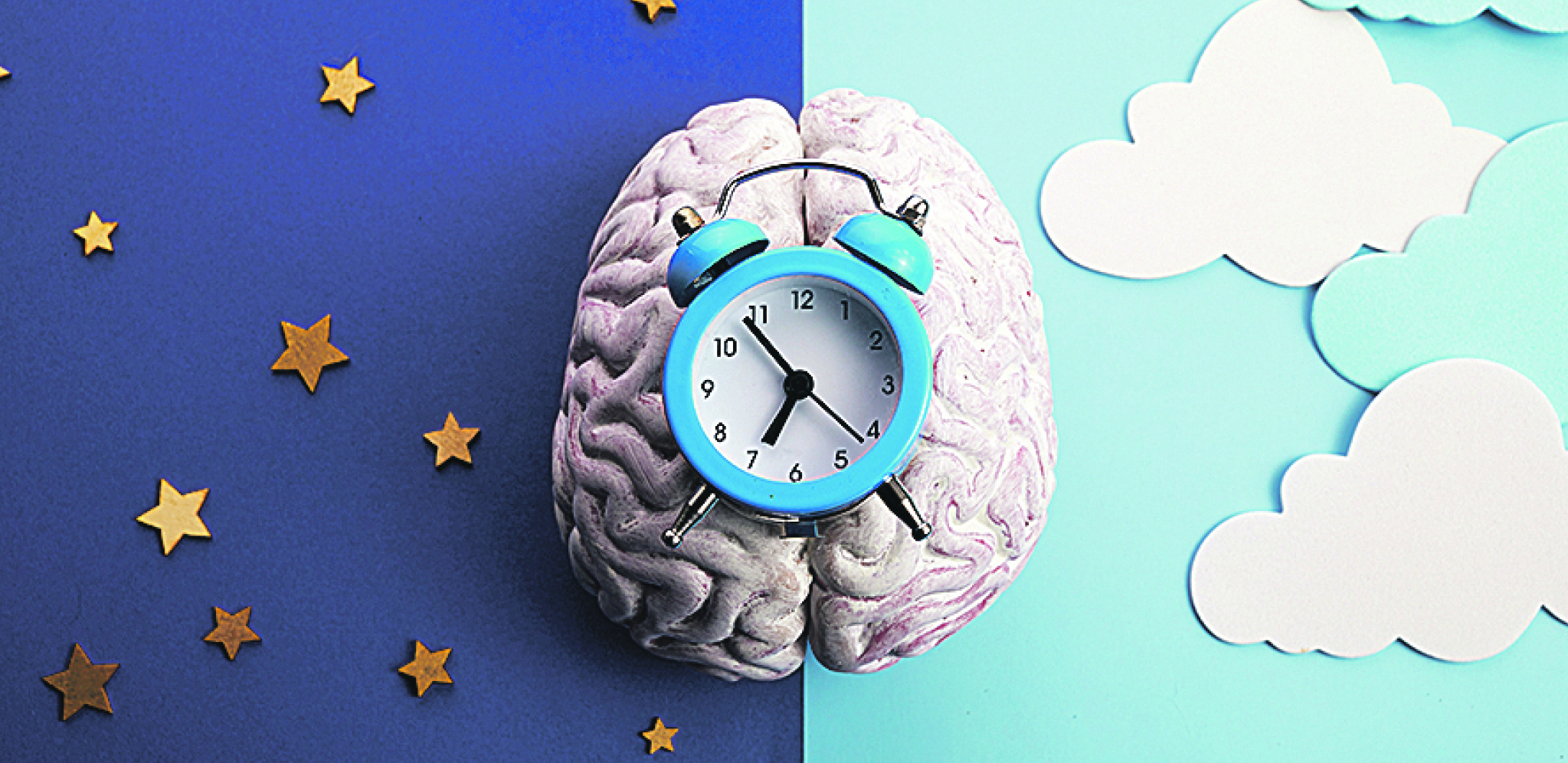 TREPLJE U MOZGU NAS KONTROLIŠU Imaju značajnu ulogu u orijentaciji i proceni vremena