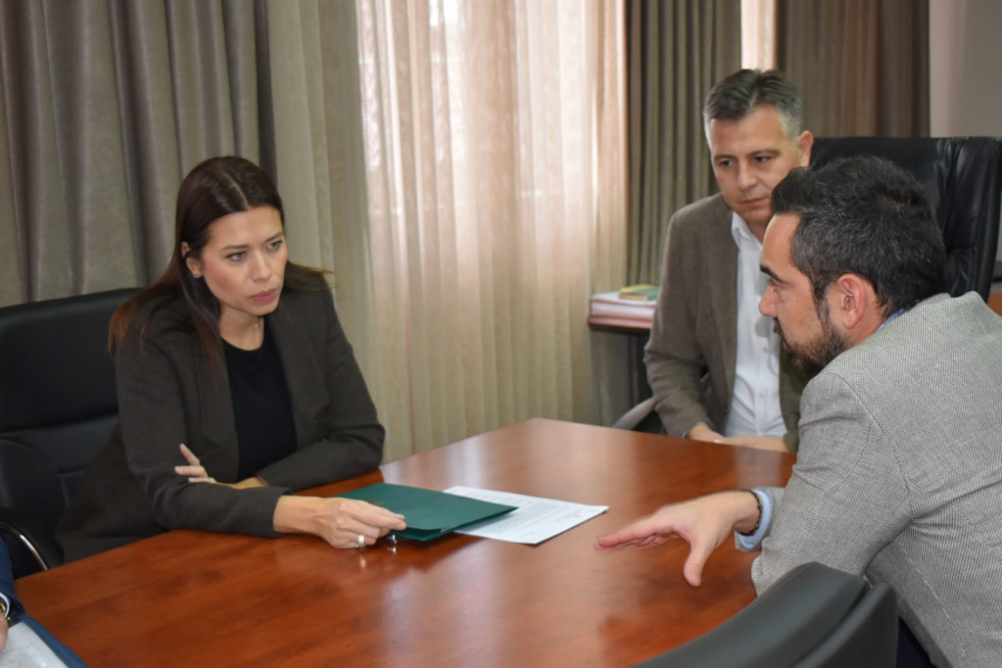 NEMA RAZLOGA ZA PANIKU Ministarka Vujović: Prisustvo amonijaka u vazduhu u Pirotu ispod graničnih vrednosti