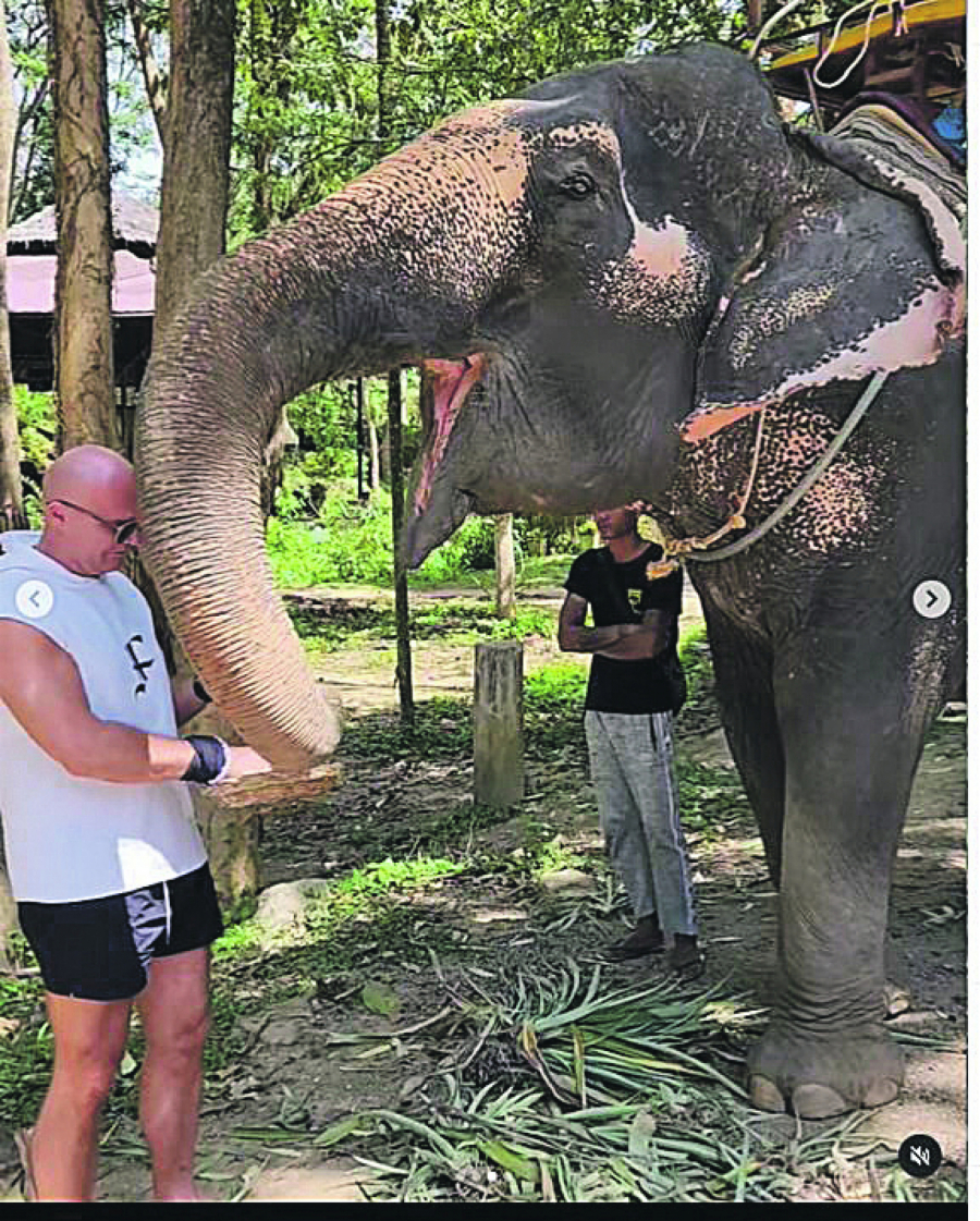 SLAVNI KOMPOZITOR UŽIVA NA TAJLANDU Evo kako Mili uživa, poslednjom fotografijom nasmejao sve (FOTO)