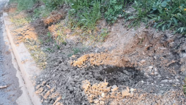 SRAMOTNO I BAHATO Lopovi iščupali biljke iz Velikog parka u Kragujevcu i odneli: Ovo nije prvi put da opustoše ovu zelenu površinu (FOTO)