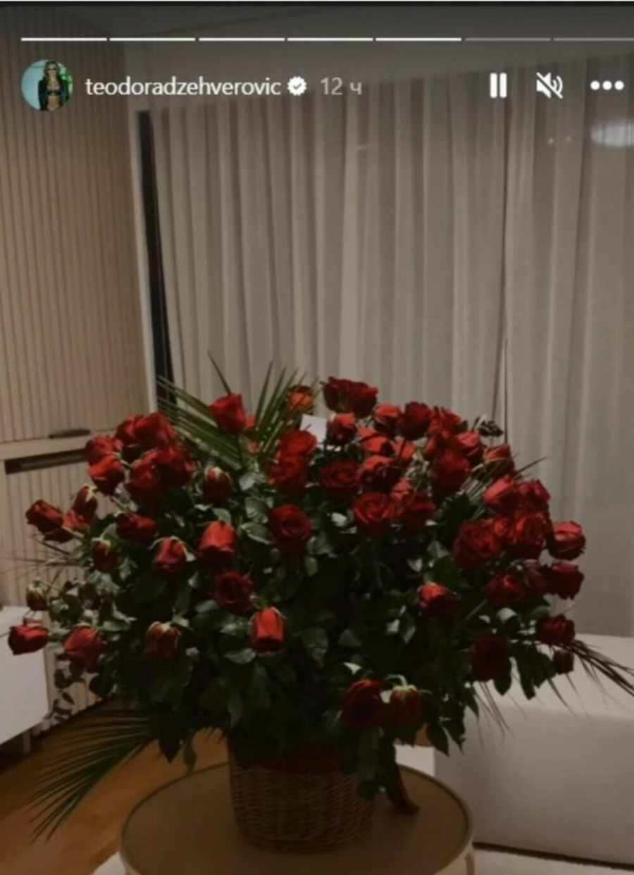 NINO ĆE DOŽIVETI NERVNI SLOM Teodora Džehverović se HITNO OGLASILA, evo šta ju je sačekalo ispred doma, ŠOK (FOTO)