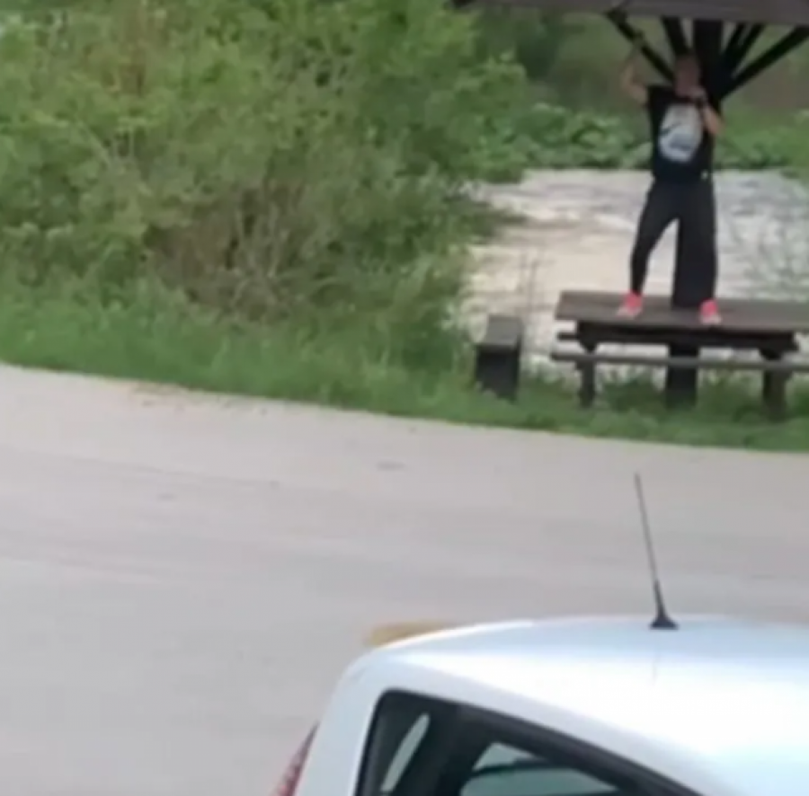 HIT SNIMAK Topalko zaustavljao automobile, pa počeo da peva prolaznicima (VIDEO)