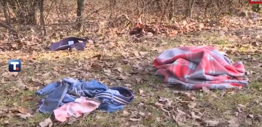 OČEVIDAC NAPADA PASA NA VLADANA RADOSAVLJEVIĆA 