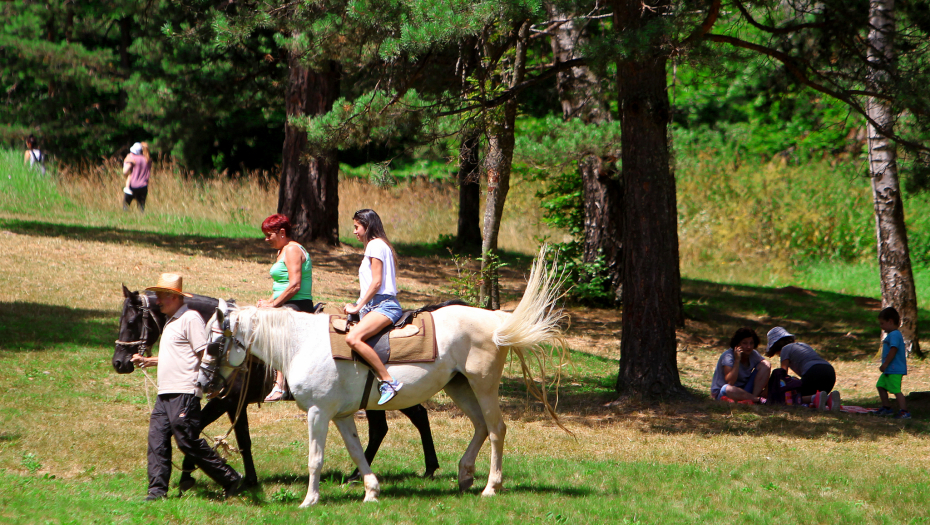 ŠOK OGLAS! PLAC U SRCU SRBIJE PO NEVEROVATNOJ CENI! Prodaje zemlju na 15 minuta od Divčibara, ponuda iznenadila sve! (FOTO)