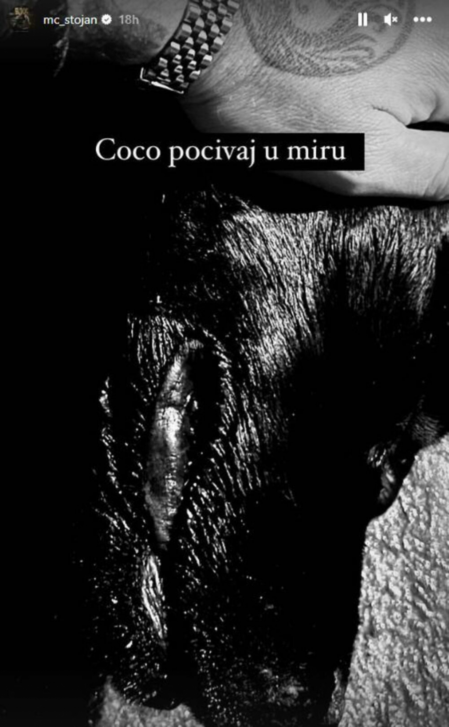 SMRT U DOMU MC STOJANA Pevač potpuno SLOMLJEN, uputio i PRETEĆU PORUKU (FOTO)