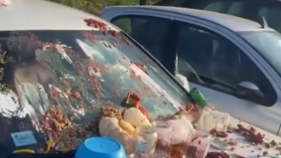 ŽALI BOŽE RUSKE SALATE I PAPRIKA Šokantan prizor u Beogradu, novogodišnja trpeza završila na automobilu (VIDEO)
