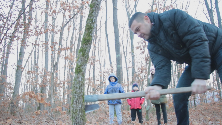 "DECA SE BUDE PRE PRVIH PETLOVA" Ranko ranom zorom krenuo da poseče badnjak, a evo kako treba da izgleda krošnja koja simbolizuje zdravlje porodice (FOTO)