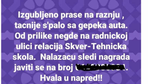 NAGRADA ZA PRONALAZAČA! Valjevcu praseće pečenje "pobeglo" iz gepeka, objava nasmejala Srbiju!