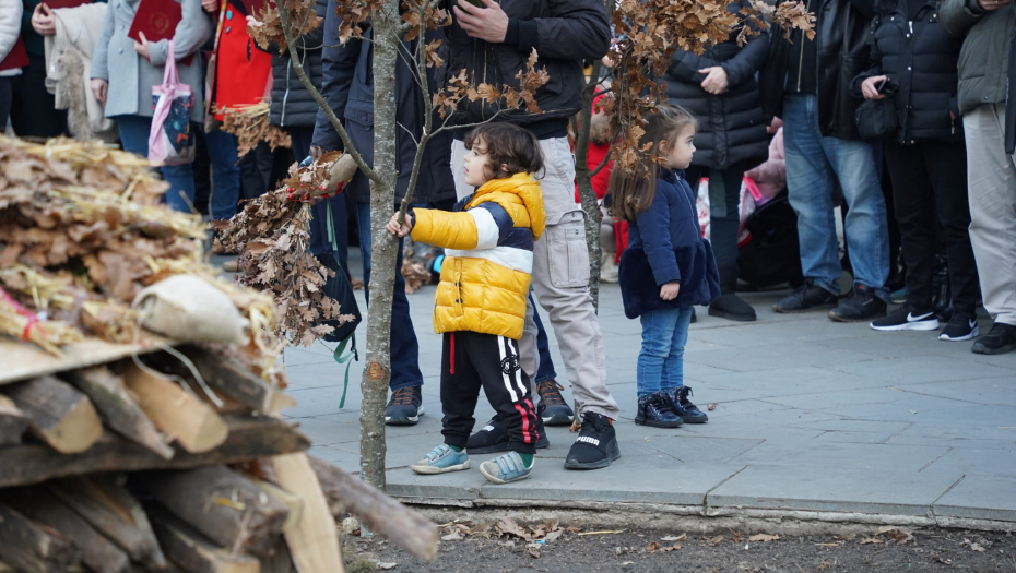 Foto: Alo!/Aleksandar Nalbantjan