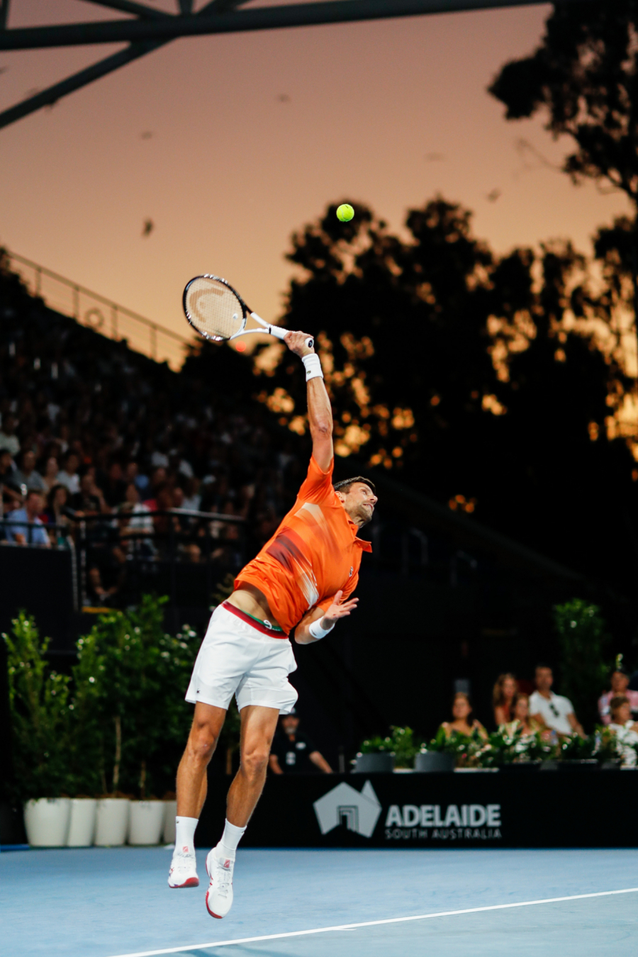 NOLE OBRADOVAO NAVIJAČE ZA BOŽIĆ Đoković savladao velikog rivala Medvedeva i boriće se za titulu u Adelejdu