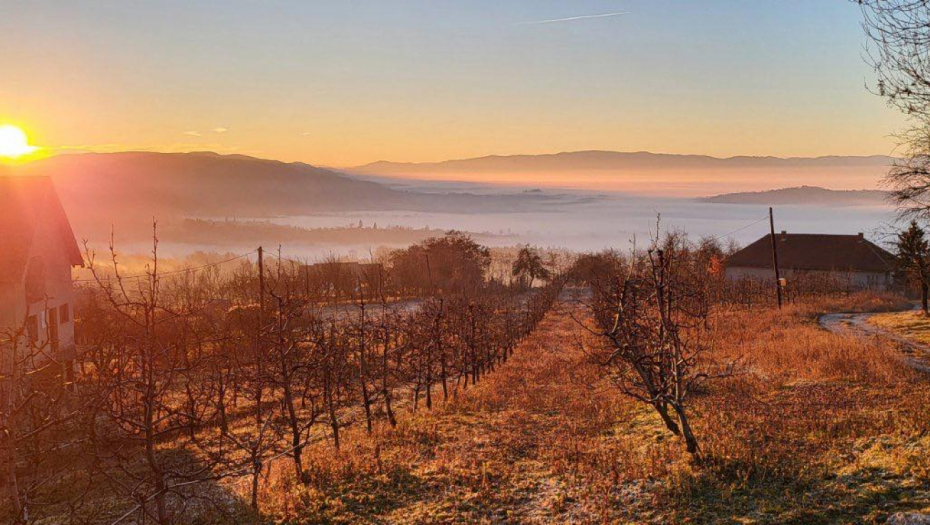 Foto: Alo!/Ustupljene fotografije