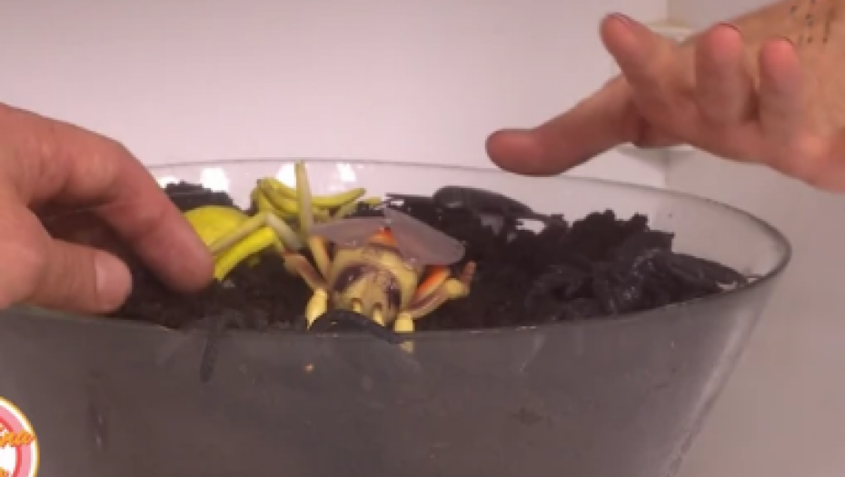 GLEDAOCI U NEVERICI Dušan Svilar ZAVUKAO RUKU usred emisije i krenuo da PIPA OVO, voditeljka nije mogla da veruje, SKANDAL