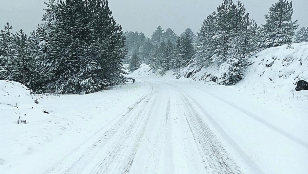 SNEG U JANUARU IZNENADIO SLOVENCE Obilne snežne padavine tokom noći, putevi blokirani