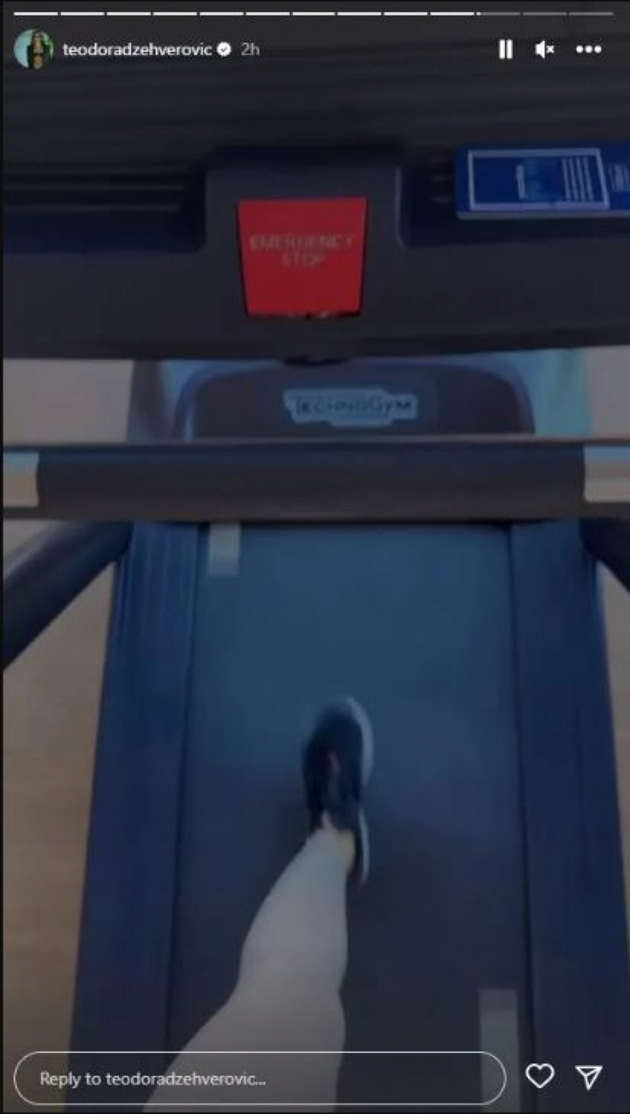 ŽALI SE FANOVIMA Teodori nedostaje alkohol, PIJE SAMO OVO PIĆE (FOTO)