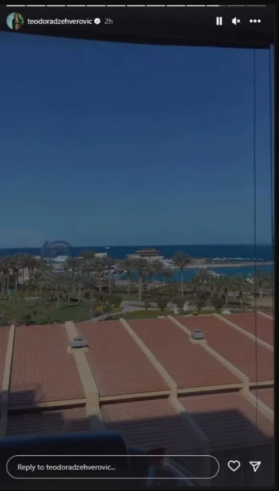 ŽALI SE FANOVIMA Teodori nedostaje alkohol, PIJE SAMO OVO PIĆE (FOTO)