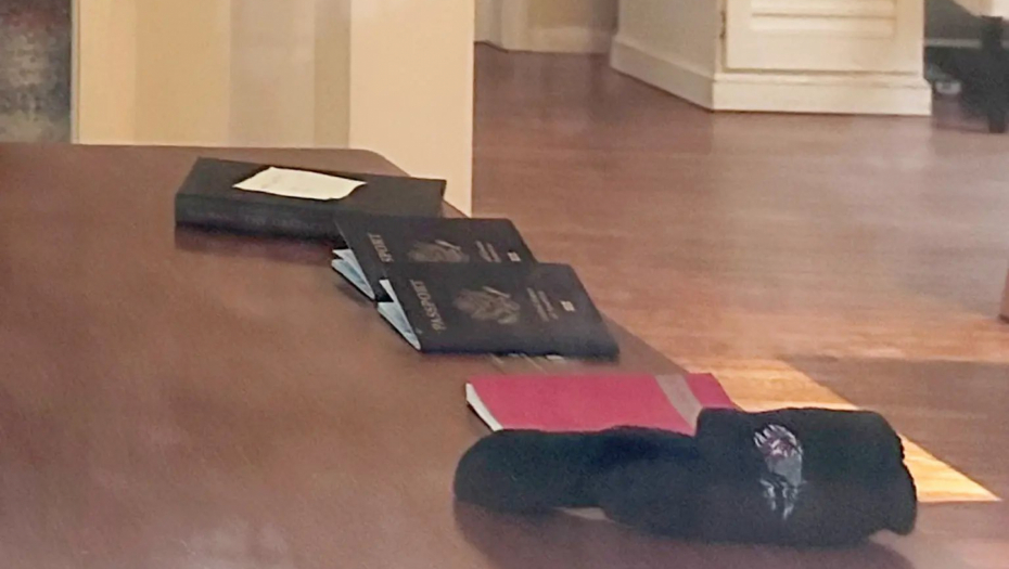 DA LI JE NOVAC MOTIV ZA NESTANAK ANE VOLŠ     U Decembru zaradila 80.000 dolara