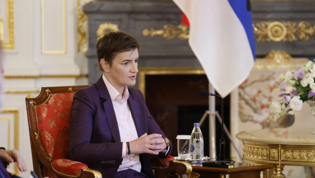 U NESREĆNIM DRŽAVAMA KULTURA NE POSTOJI Premijerka Brnabić razvalila Sinišu Kovačevića!