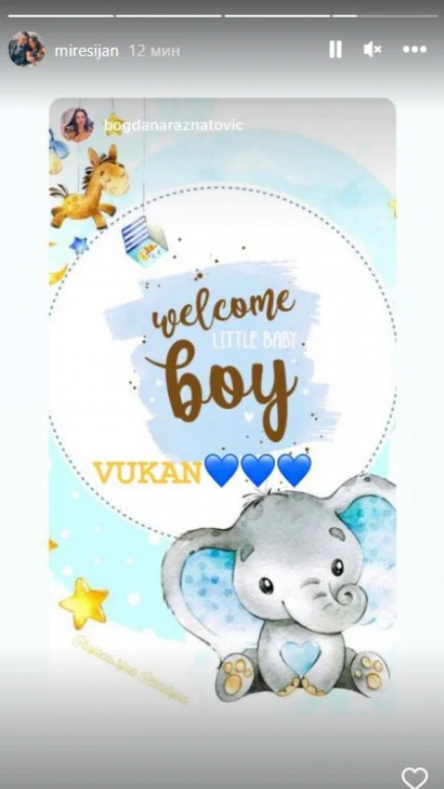 NJEN KOMENTAR SU SVI ČEKALI! Oglasila se Bogdana Ražnatović, pa sestri Bojani i zetu Mirku čestitala na prinovi