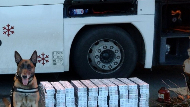 NA CARINI U ŠIDU PALI KRIJUMČARI Pas nanjušio paket u autobusu i otkrio skriveni bunker (FOTO/VIDEO)