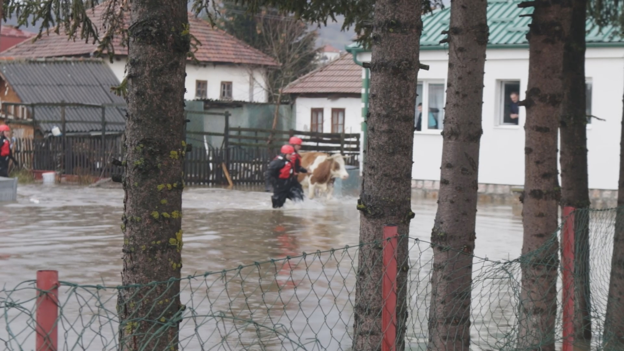 BEBA ZAROBLJENA U KUĆI Poplave paralisale Sjenicu (FOTO)
