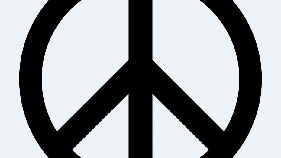 EVROPLJANIMA JE DOSTA SVEGA, ŽELE MIR! Rezultati ankete mnogima ne idu u prilog