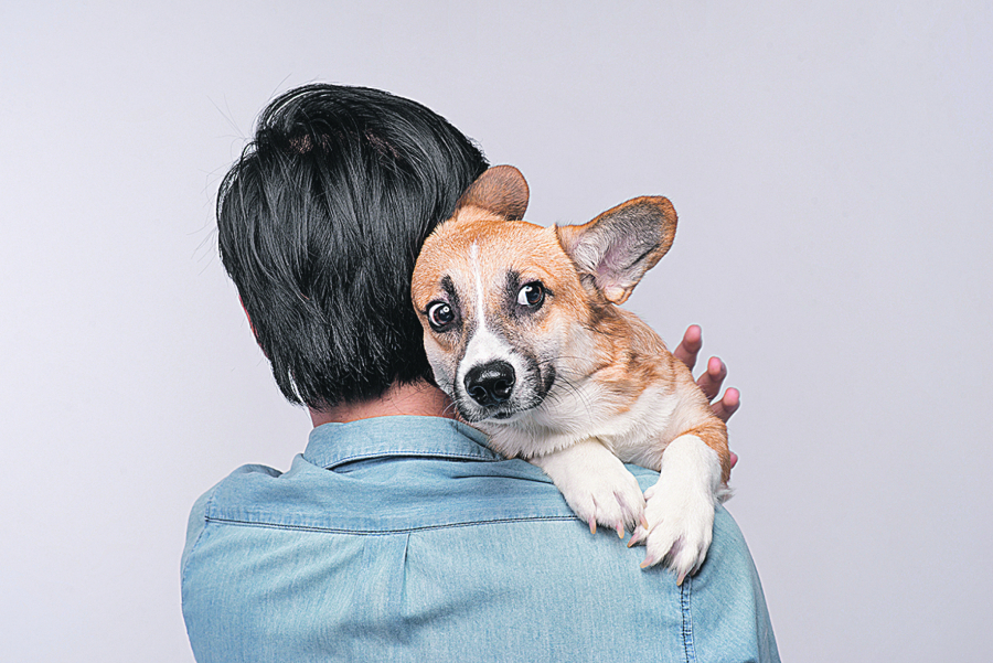 KUCA POD STRESOM Različiti strahovi i fobije čest su problem s kojim se susreću mnogi vlasnici pasa