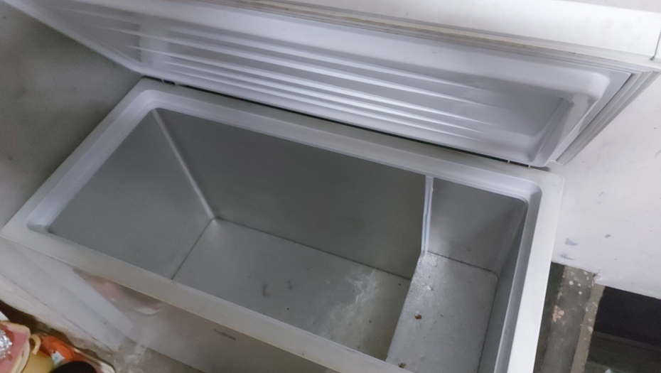 OTKRIVENI MONSTRUOZNI DETALJI SLUČAJA IZ ZEMUNA Živu bebu zamrzla u frižideru i krila je sedam godina!