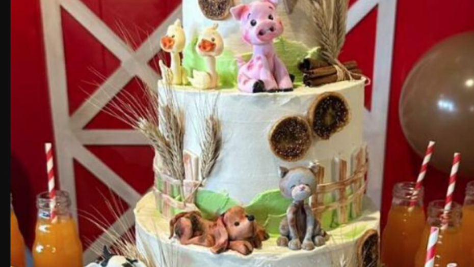 Seka Aleksić proslavlja sinu rođendan