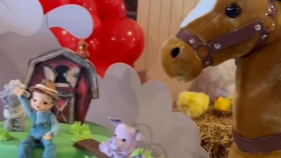 Seka Aleksić proslavlja sinu rođendan