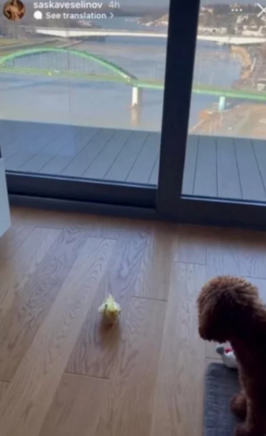 POGLEDAJTE U KAKVOM LUKSUZU ŽIVE ĐORĐE I SAŠKA ĐOKOVIĆ Stan u Beograd na vodi ostavlja bez daha, sređen po poslednjoj modi, odiše skupoćom! (FOTO)