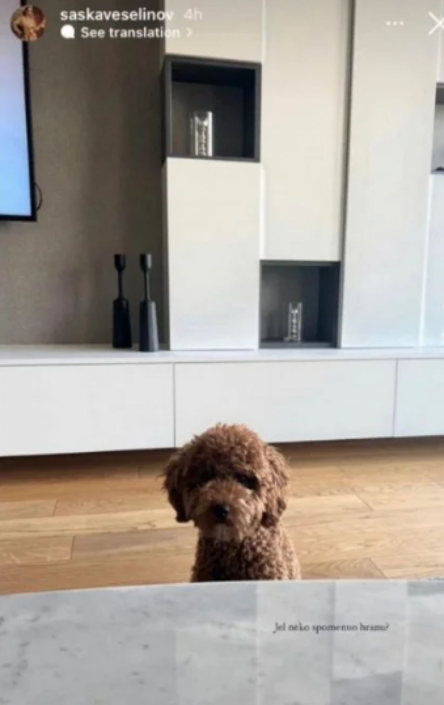 POGLEDAJTE U KAKVOM LUKSUZU ŽIVE ĐORĐE I SAŠKA ĐOKOVIĆ Stan u Beograd na vodi ostavlja bez daha, sređen po poslednjoj modi, odiše skupoćom! (FOTO)