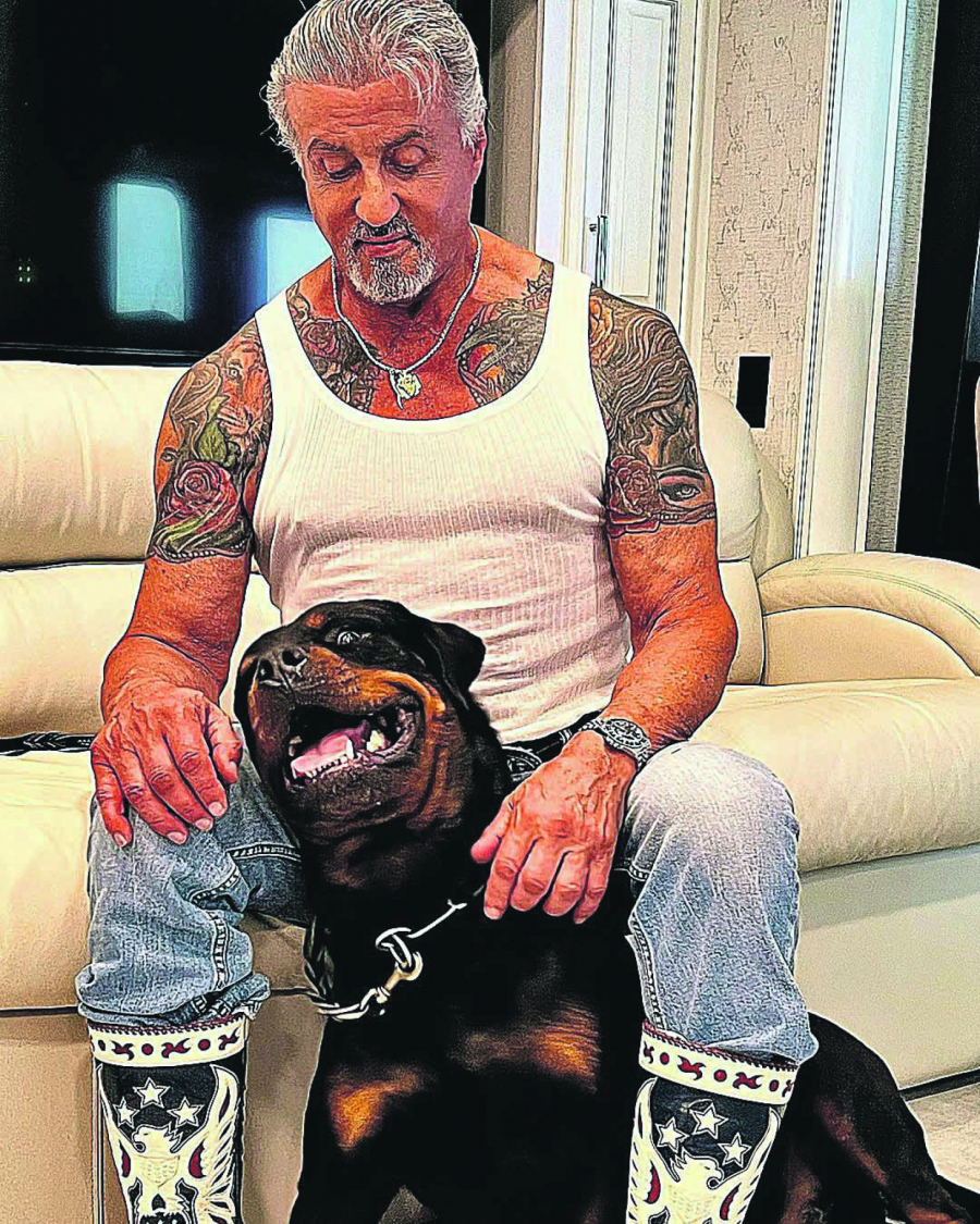 ONI SU BILI BESKUĆNICI Danas ove holivudske zvezde plivaju u novcu, a nekad su živeli na rubu egzistencije!