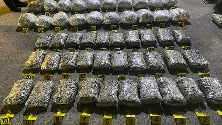 SARADNIK KAVČANA UHAPŠEN NA KOSOVU I METOHIJI Za Zvicera švercovao 107 kilograma droge!