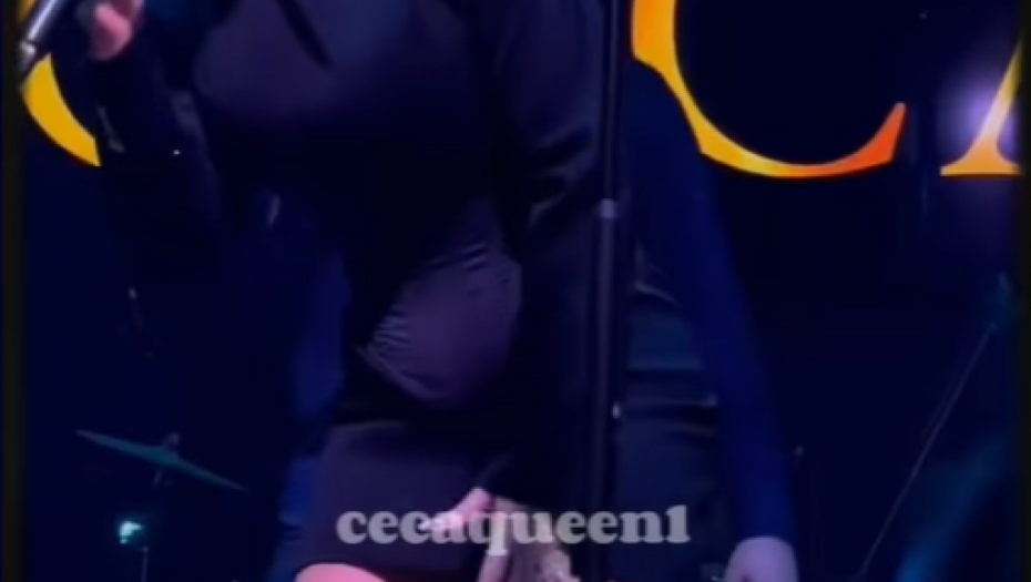 Svetlana Ceca Ražnatović nastup u Dizeldorfu