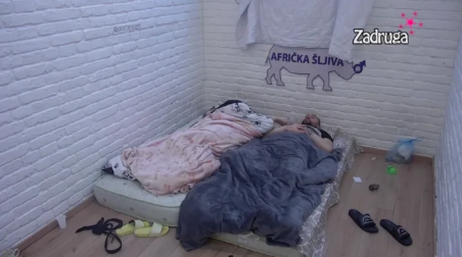 STARA LJUBAV ZABORAVA NEMA Ana legla pored Zvezdana: BIVŠI SUPRUŽNICI SPOJILI KREVETE