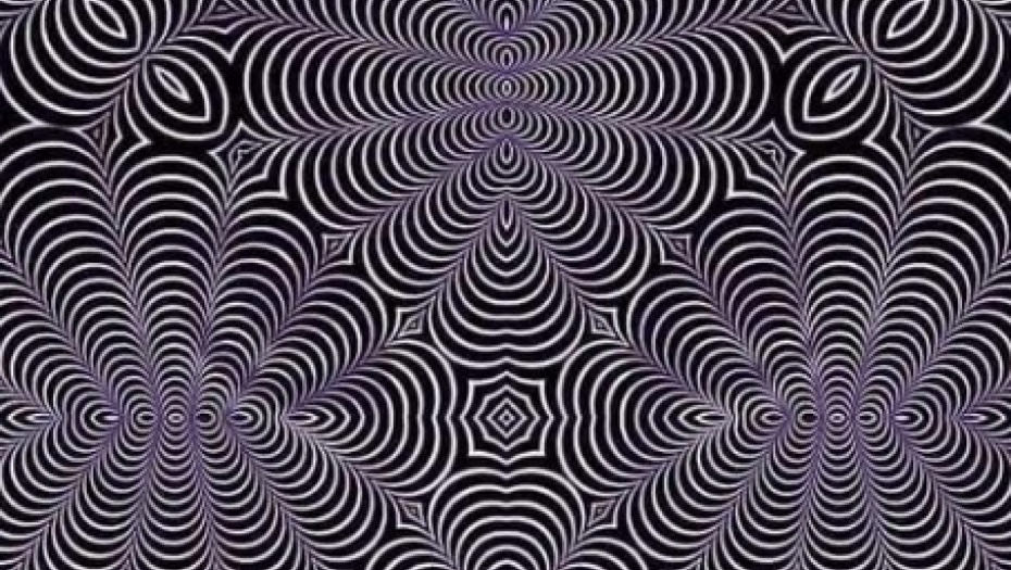 NEVEROVATNA OPTIČKA ILUZIJA Na slici se kriju dve životinje, koju vi vidite