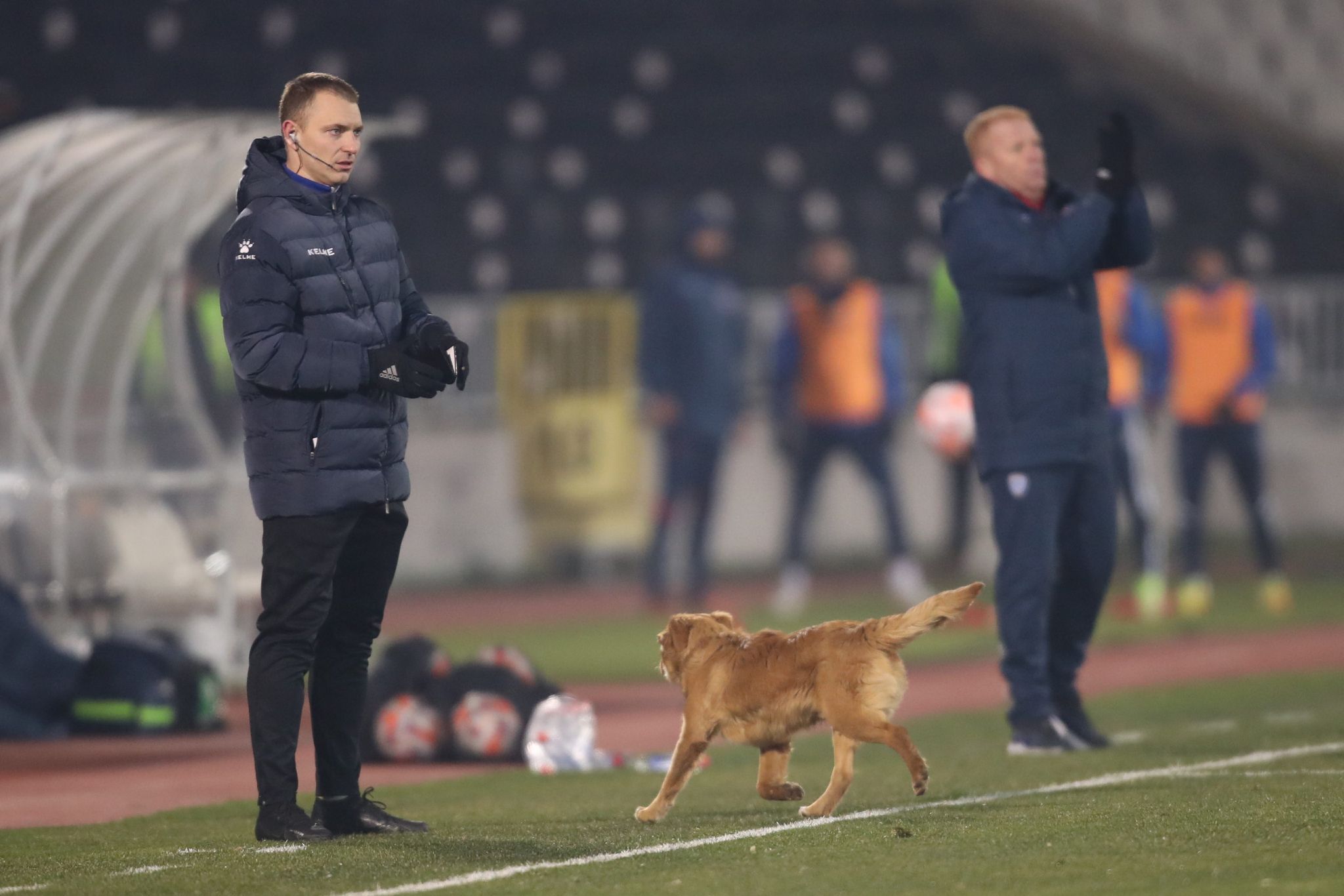 BAŠ MU SE IGRAO FUDBAL Nezvani gost prekinuo meč Partizana i Mladosti (FOTO)