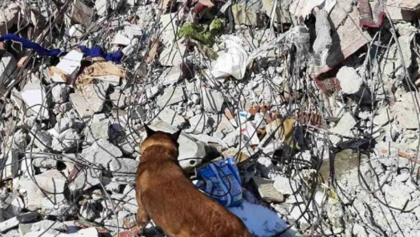 DAN D ZA PREŽIVELE! Vremena za nove lepe vesti je sve manje