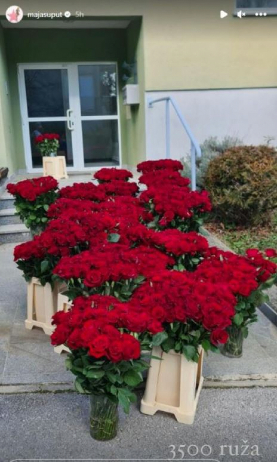 Pevačica objavila poklon za DAN ZALJUBLJENIH, 3500 RUŽA 