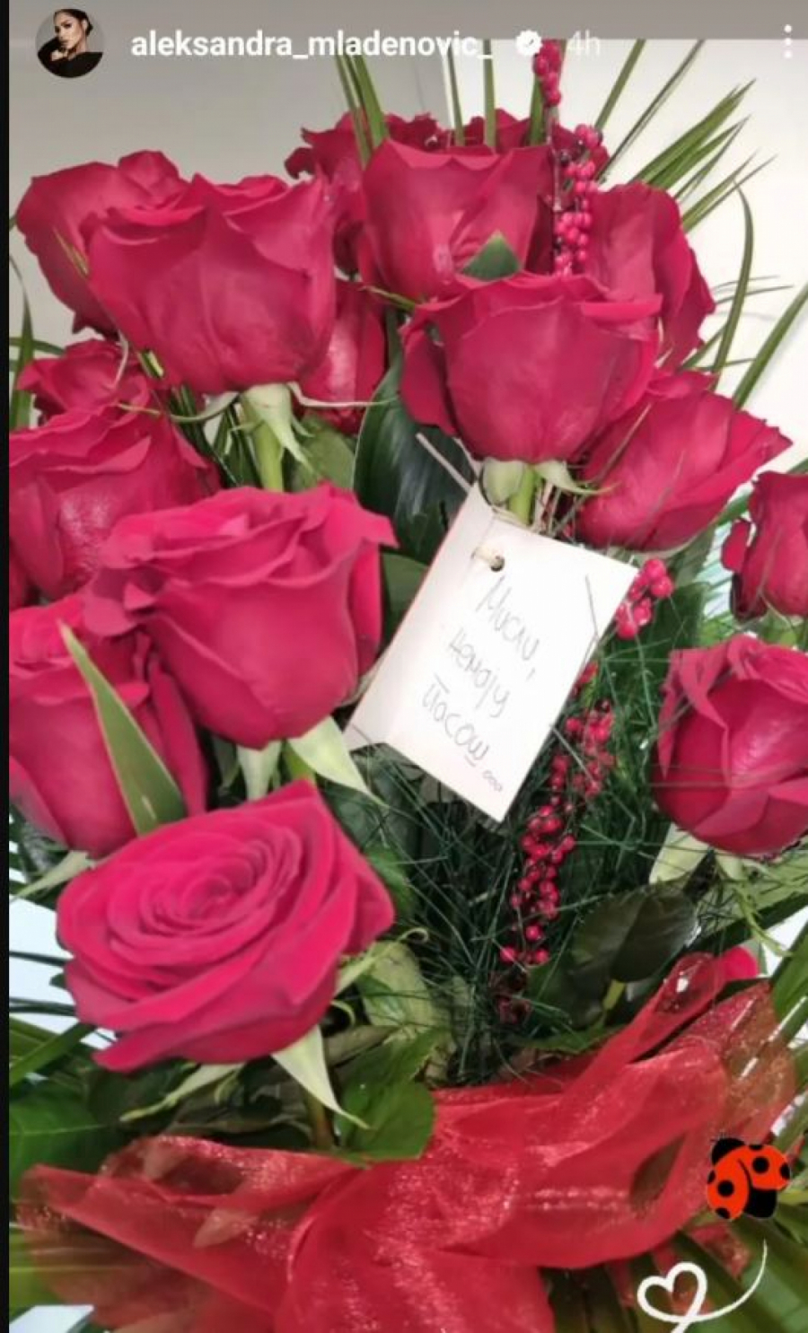 STIGAO JOJ POKLON NA KUĆNU ADRESU Aleksandra Mladenović dobila romantičnu poruku od misterioznog muškarca: SVI U ŠOKU!