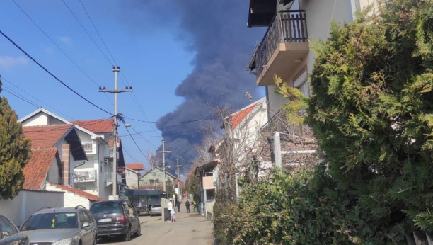 GORELO 1.500 KVADRATA PREDUZEĆA Lokalizovan požar na Galenici (FOTO/VIDEO)