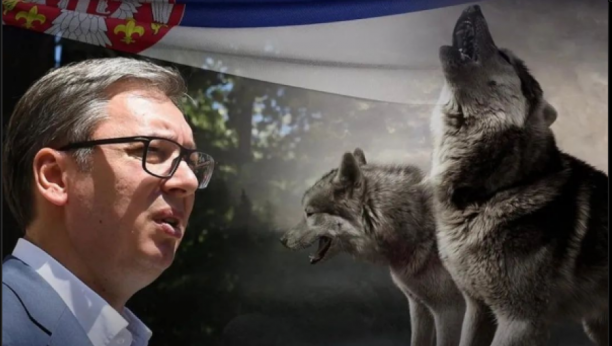 EKSTREMISTI RADE PROTIV SRPSKOG NARODA! Selaković: Predaja nije bila niti će biti opcija, puna podrška predsedniku Vučiću!