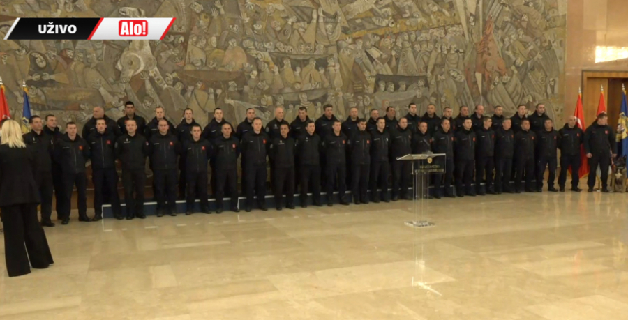 PAS ZIGI IDE U ZASLUŽENU PENZIJU Posle herojstva u Turskoj napušta službu