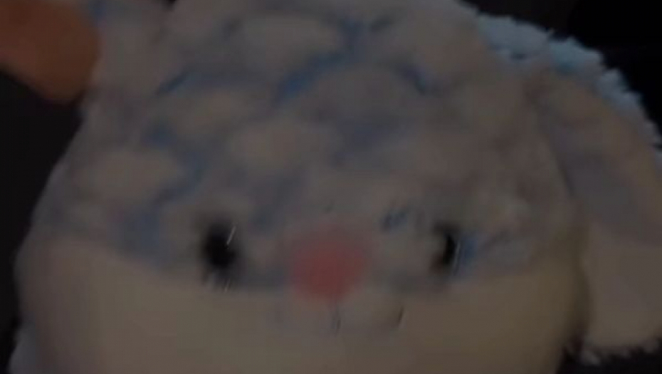 Teodora Džehhverović