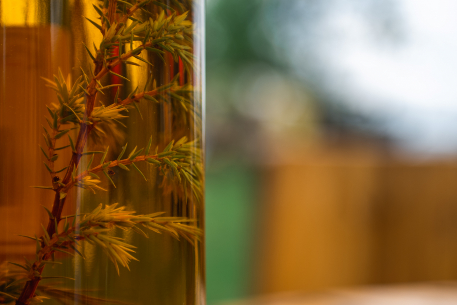 PIĆE KOJE SPAJA SVE Srpska šljivovica upisana na UNESCO-ovu listu nematerijalnog kulturnog nasleđa